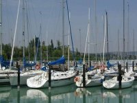 Balaton